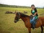 rhino-camp-4