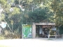monkeyland