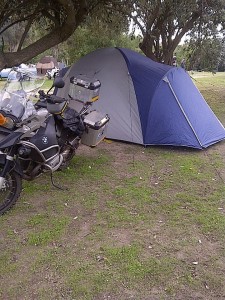 Camping Whale Rally