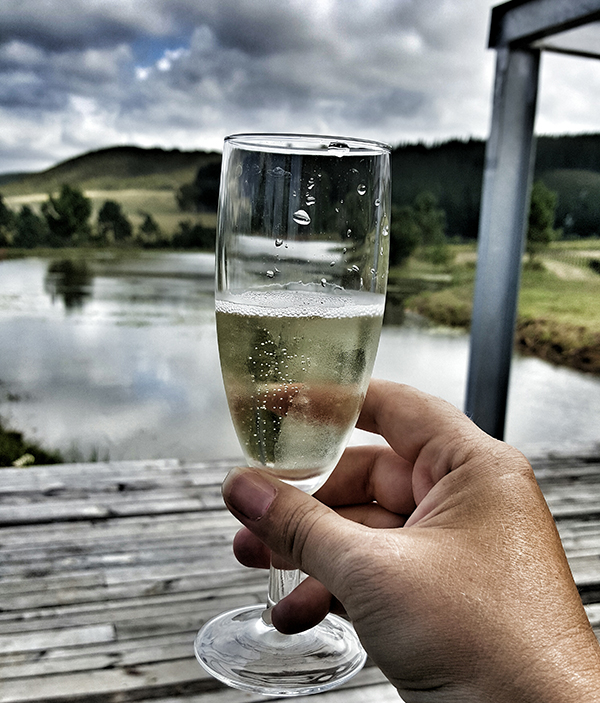 Kay and Monty Vineyards